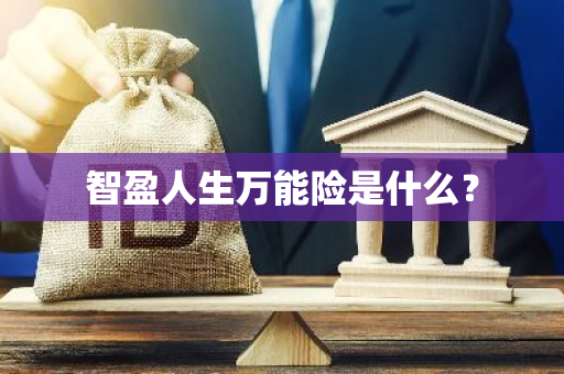 智盈人生万能险是什么？