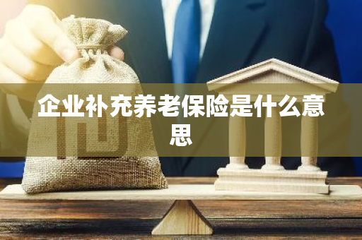 企业补充养老保险是什么意思