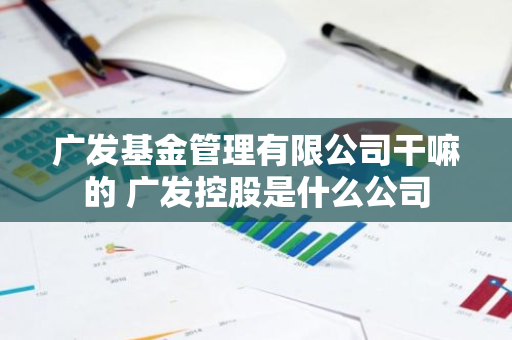 广发基金管理有限公司干嘛的 广发控股是什么公司