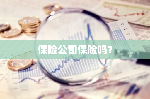 保险公司保险吗？
