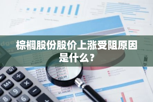 棕榈股份股价上涨受阻原因是什么？