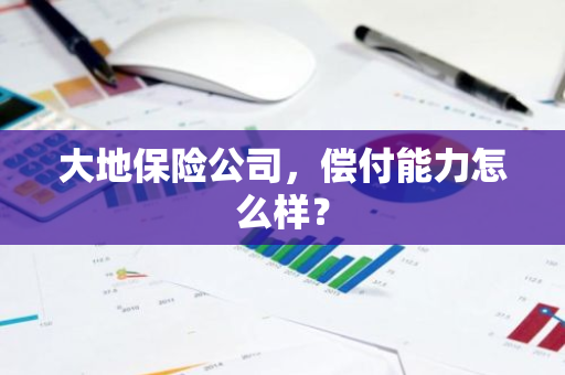 大地保险公司，偿付能力怎么样？