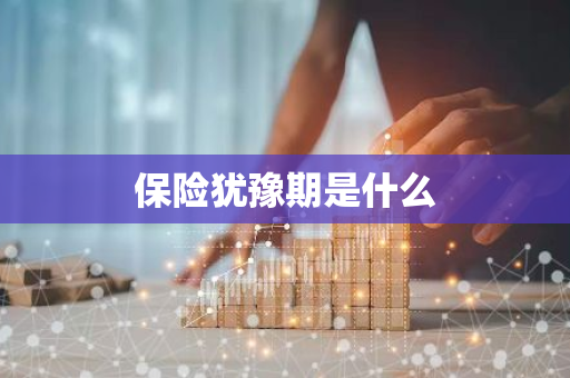保险犹豫期是什么