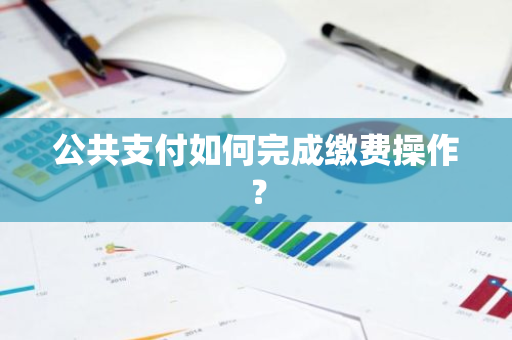 公共支付如何完成缴费操作？