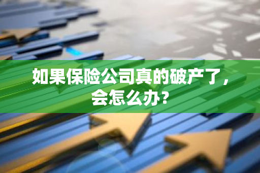 如果保险公司真的破产了，会怎么办？