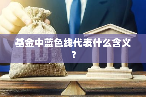 基金中蓝色线代表什么含义？