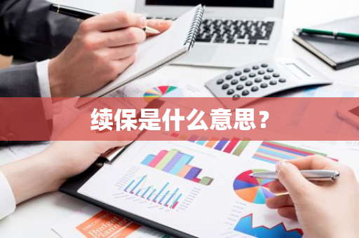 续保是什么意思？