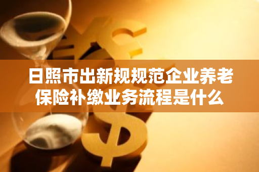 日照市出新规规范企业养老保险补缴业务流程是什么