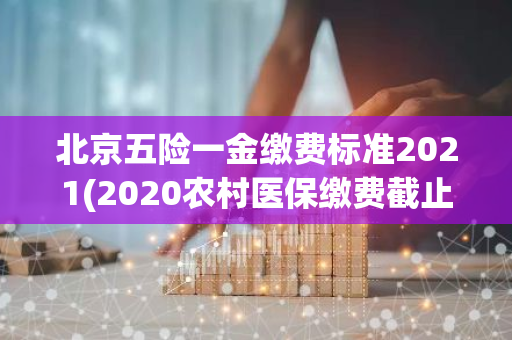 北京五险一金缴费标准2021(2020农村医保缴费截止日期)