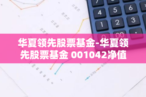 华夏领先股票基金-华夏领先股票基金 001042净值