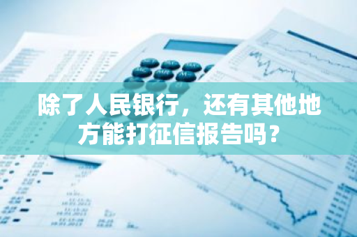 除了人民银行，还有其他地方能打征信报告吗？