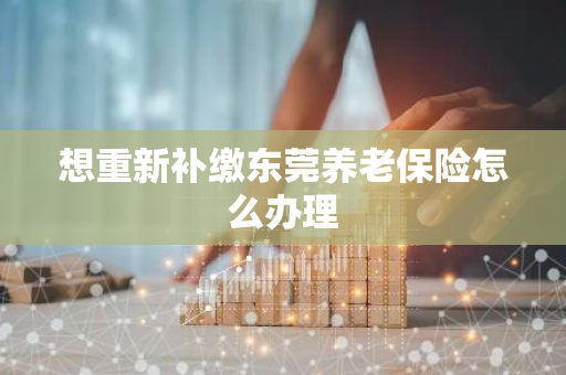 想重新补缴东莞养老保险怎么办理