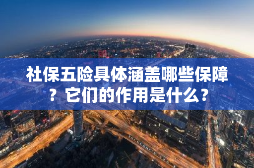 社保五险具体涵盖哪些保障？它们的作用是什么？
