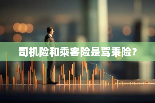 司机险和乘客险是驾乘险？