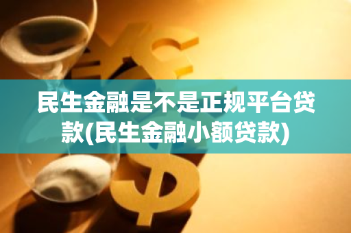 民生金融是不是正规平台贷款(民生金融小额贷款)