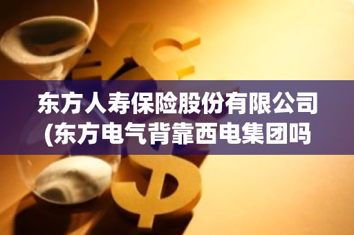 东方人寿保险股份有限公司(东方电气背靠西电集团吗)
