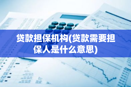 贷款担保机构(贷款需要担保人是什么意思)