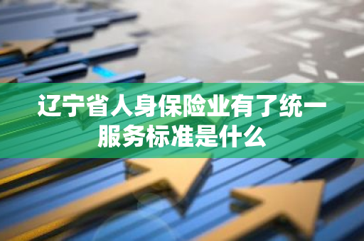 辽宁省人身保险业有了统一服务标准是什么