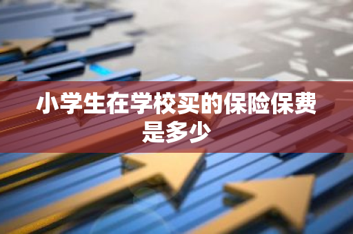 小学生在学校买的保险保费是多少
