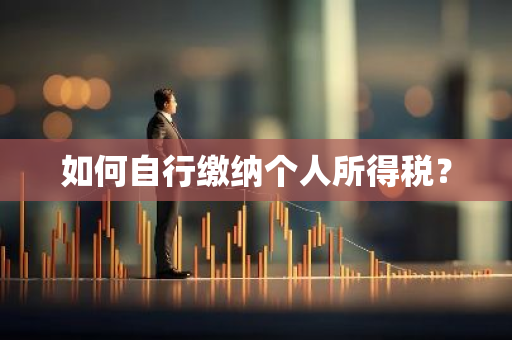 如何自行缴纳个人所得税？