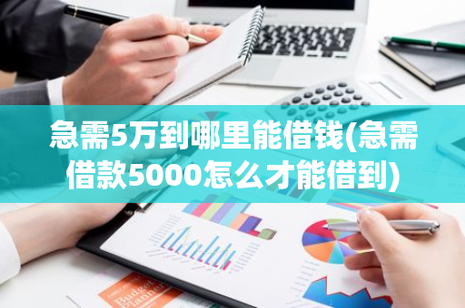 急需5万到哪里能借钱(急需借款5000怎么才能借到)