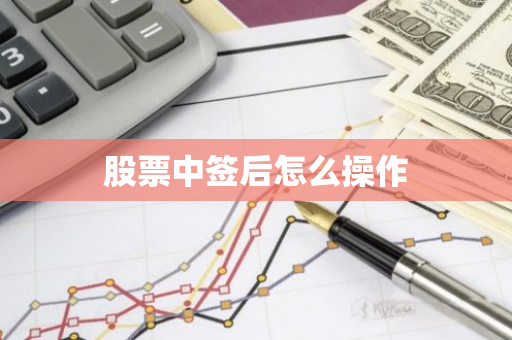 股票中签后怎么操作