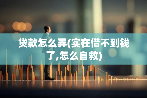 贷款怎么弄(实在借不到钱了,怎么自救)