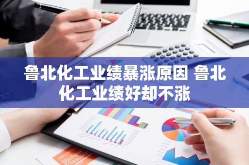 鲁北化工业绩暴涨原因 鲁北化工业绩好却不涨