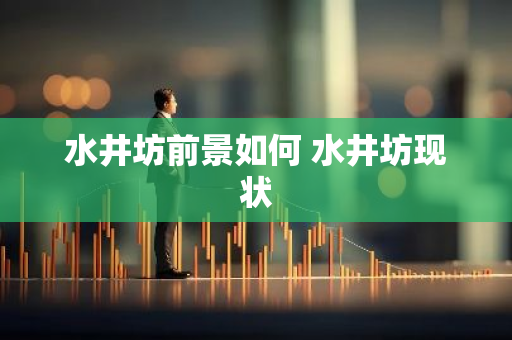 水井坊前景如何 水井坊现状