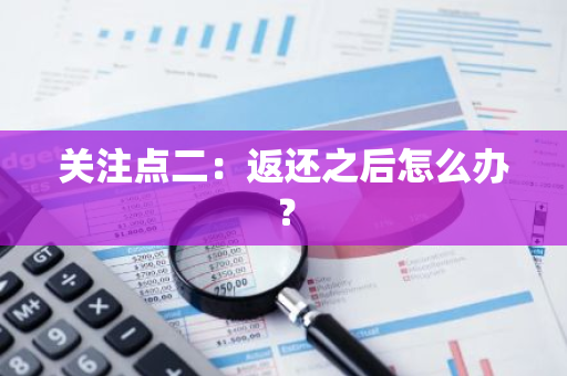 关注点二：返还之后怎么办？