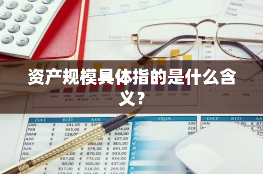 资产规模具体指的是什么含义？