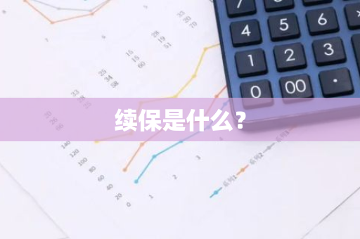 续保是什么？