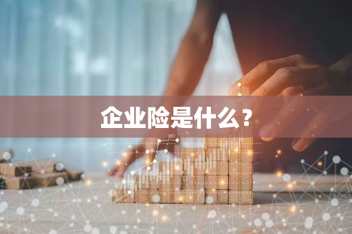 企业险是什么？
