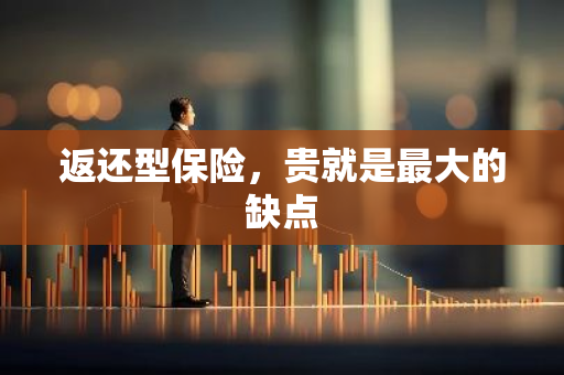 返还型保险，贵就是最大的缺点