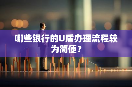 哪些银行的U盾办理流程较为简便？