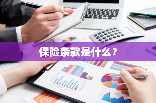 保险条款是什么？