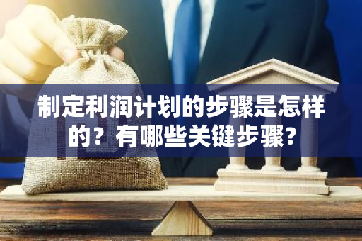 制定利润计划的步骤是怎样的？有哪些关键步骤？