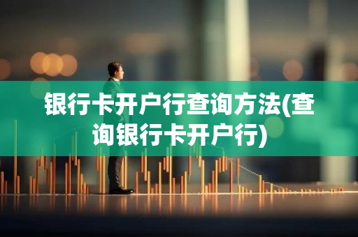 银行卡开户行查询方法(查询银行卡开户行)