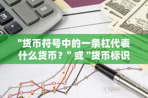"货币符号中的一条杠代表什么货币？" 或 "货币标识中的一横杠代表哪种货币？"