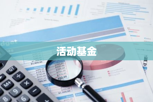 活动基金