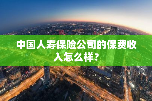 中国人寿保险公司的保费收入怎么样？