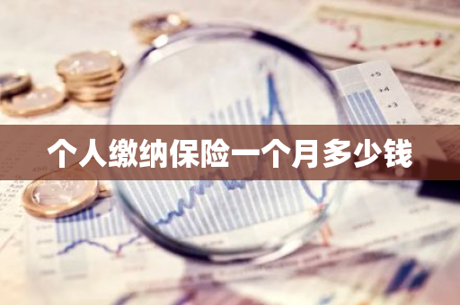 个人缴纳保险一个月多少钱