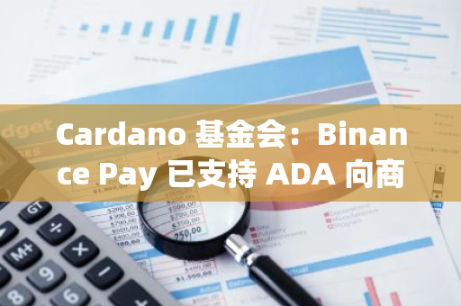Cardano 基金会：Binance Pay 已支持 ADA 向商家进行支付