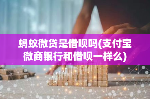 蚂蚁微贷是借呗吗(支付宝微商银行和借呗一样么)