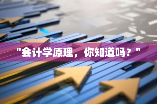 "会计学原理，你知道吗？"