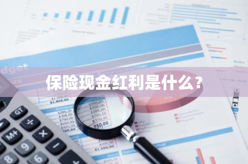 保险现金红利是什么？
