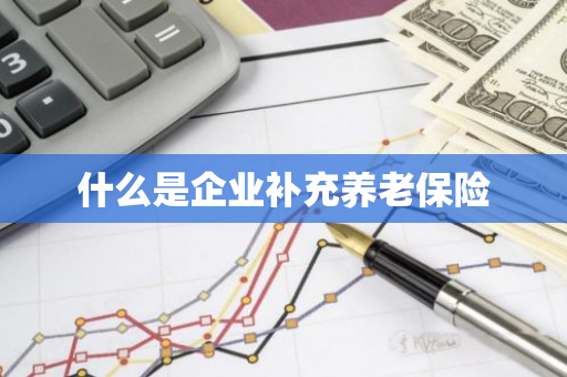 什么是企业补充养老保险
