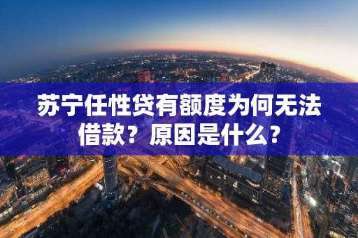 苏宁任性贷有额度为何无法借款？原因是什么？