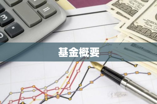 基金概要