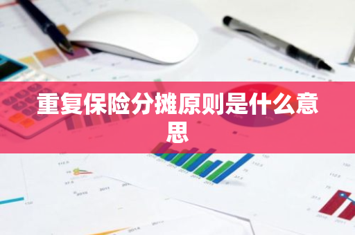 重复保险分摊原则是什么意思